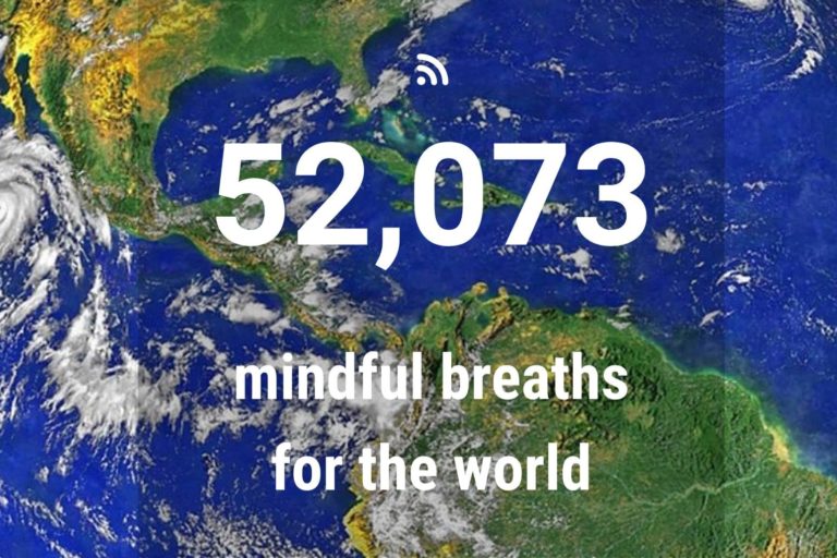 Screenshot_20200511_175350