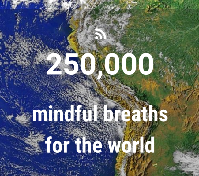 Screenshot_20200802_202941