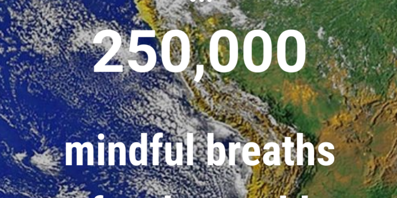 Screenshot_20200802_202941