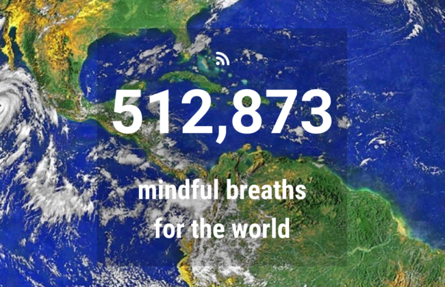 Screenshot_20210116_171246