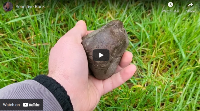 Screenshot_20220402_194322