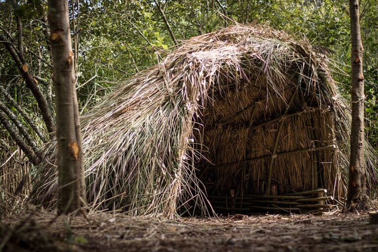 1024px-Mesolithic_Hut